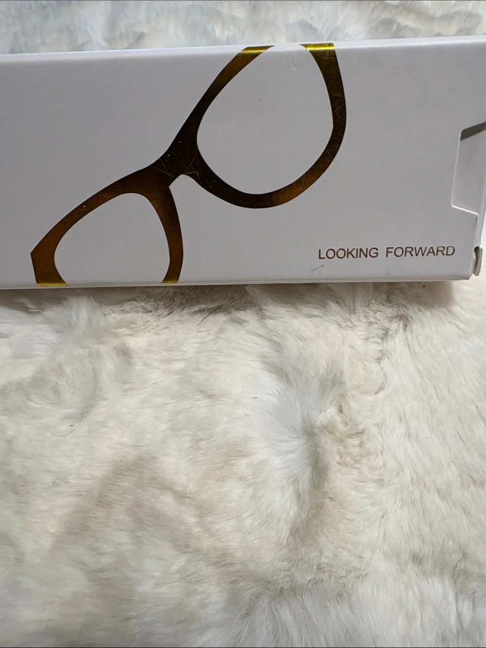 Looking Forward sleek oval